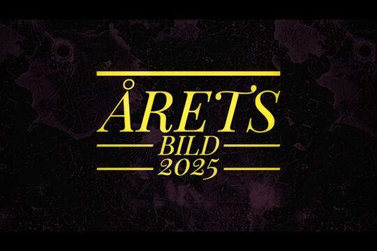 FotoFredag: Vilken är din favorit från fotoåret 2025