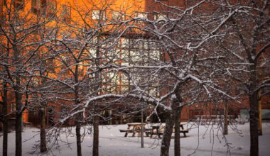 Följ kommunfullmäktige den 15 december via webben