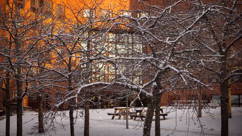 Följ kommunfullmäktige den 15 december via webben