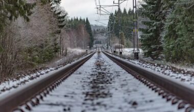 De mest lästa artiklarna 2025 – Sveriges Natur