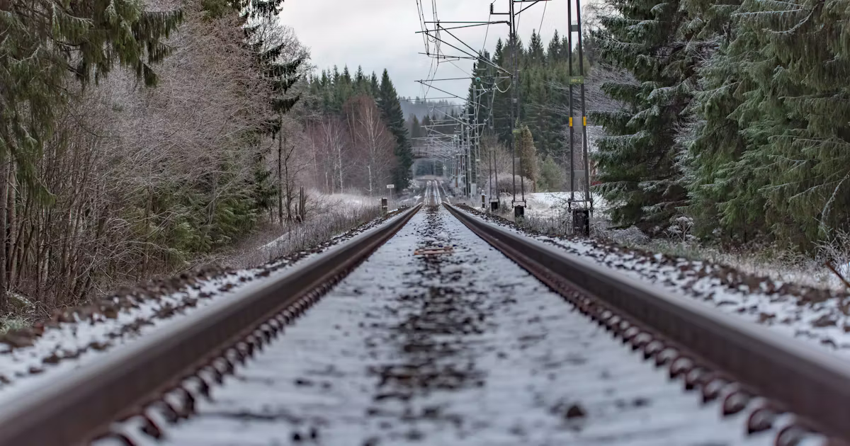 De mest lästa artiklarna 2025 – Sveriges Natur