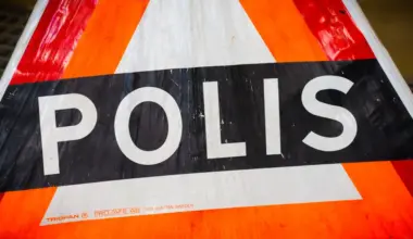 Älgar påverkar trafiken på Nynäsvägen