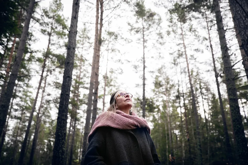 Så ska kyrkan sköta sina skogar på Ekerö