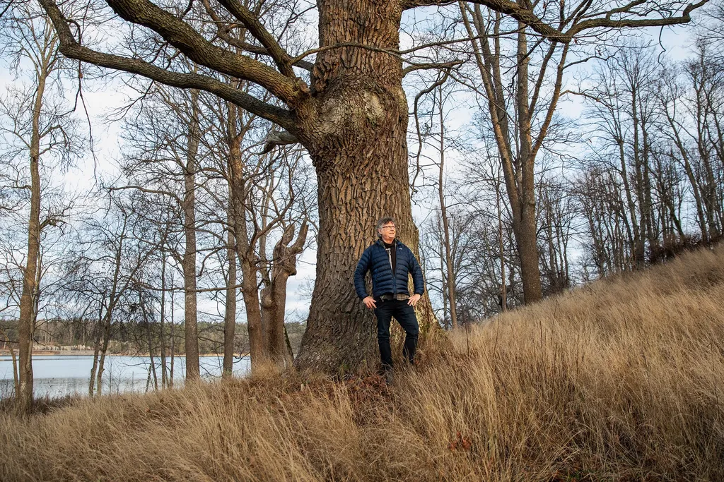 Nu kan populära Farsta slottsvik skyddas