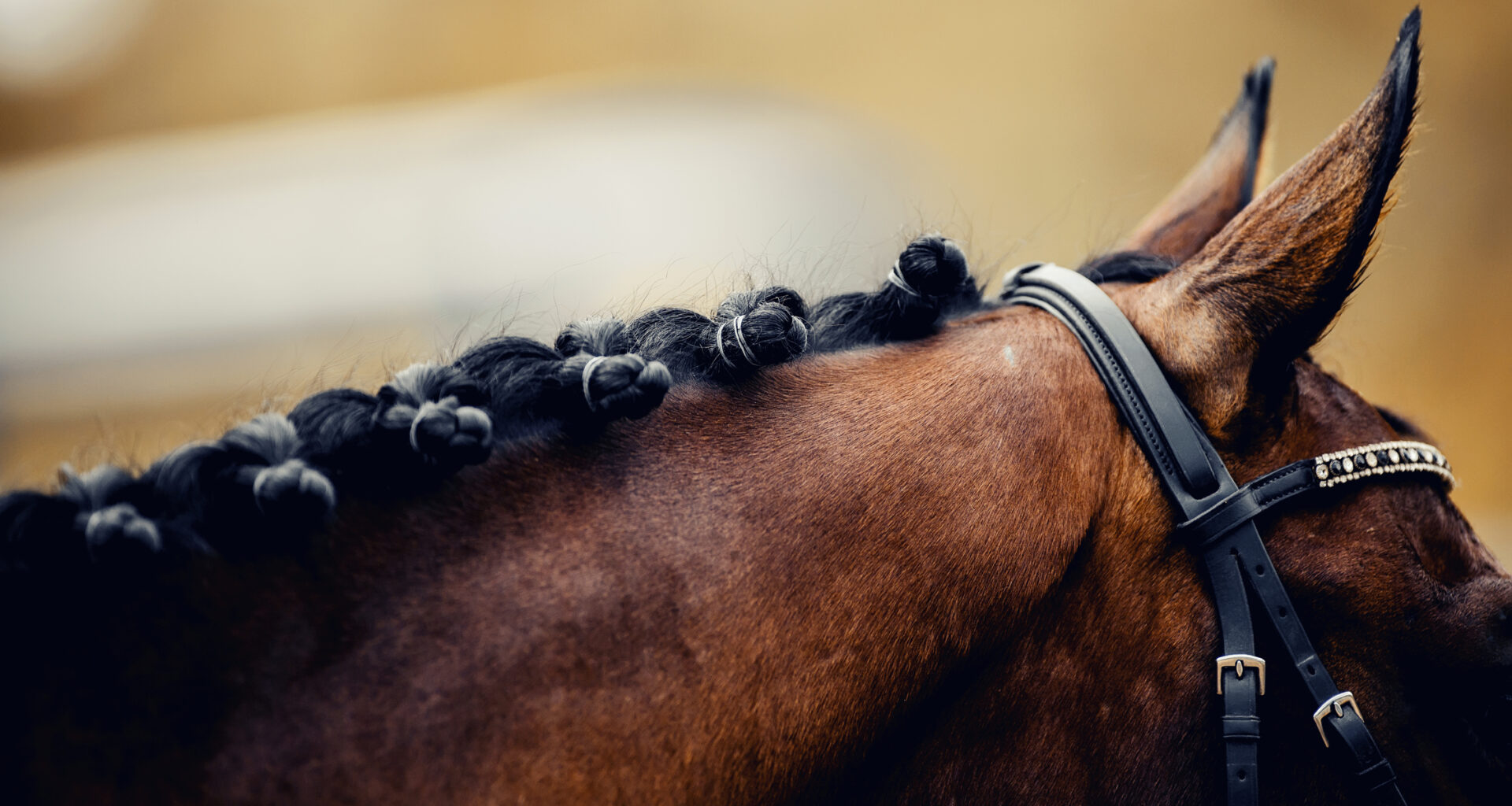 Hon välkomnar SvRF:s beslut om 13-årsgränsen: ”Diskussionen har spårat ur”