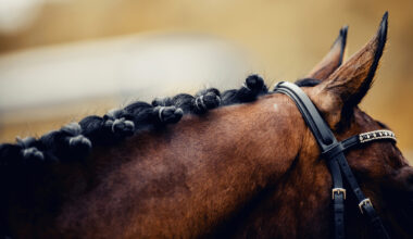 Hon välkomnar SvRF:s beslut om 13-årsgränsen: ”Diskussionen har spårat ur”