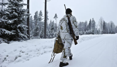 Ärende mot Sveriges vargjakt nedlagt av EU