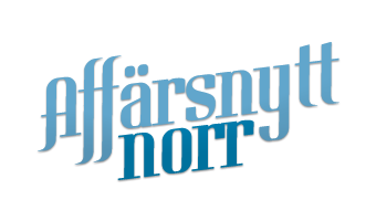 Renar gick genom svagisen - räddningen tog sig inte ut