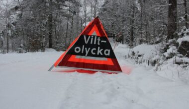 21 viltolyckor i Norr- och Västerbotten – på drygt fyra timmar