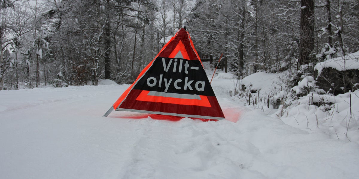 21 viltolyckor i Norr- och Västerbotten – på drygt fyra timmar