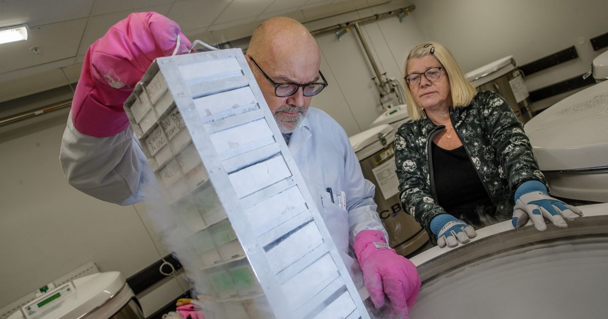 Nytt signalämne kan ha stor påverkan på våra hjärtan