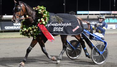 Foto: MALIN ALBINSSON / TR BILD