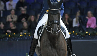 Premiär för topp 12-finalen – så här hänger du med