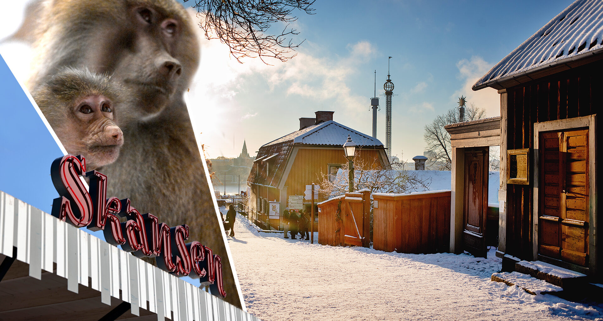 Skansen ska banta – facken ber om hjälp