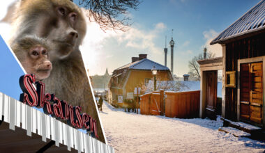 Skansen ska banta – facken ber om hjälp