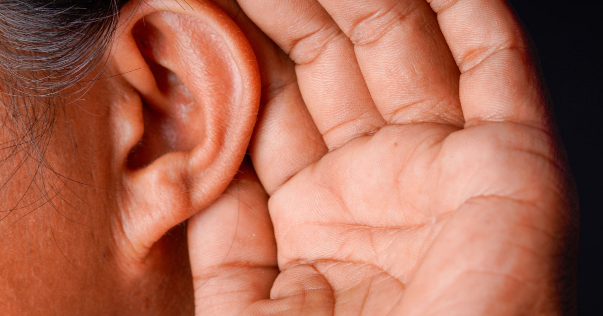 Forskare förvånade: läten från en viss djurart gör något oväntat med vår hjärna