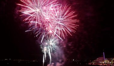 2025: Ljusglimtar från året som gått