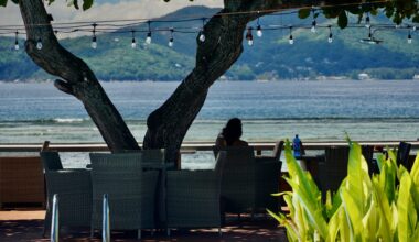 “Första prioritet är seger, pappa” – stackars rys … jag menar armeniska, georgiska, kazakhiska turister – Cornucopia?