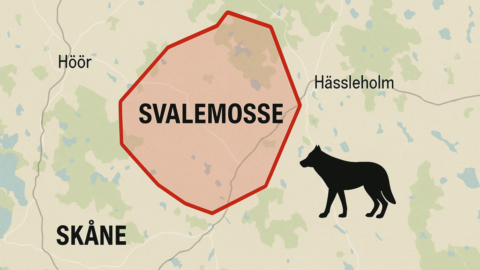 Skjutna vargen i Skåne identifierad