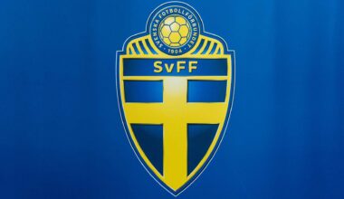 Inget EM till Danmark och Sverige 2029