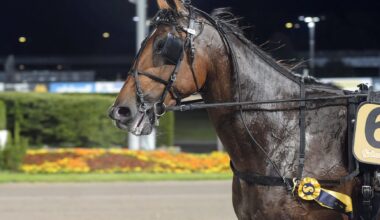 Foto: LARS JAKOBSSON / TR BILD