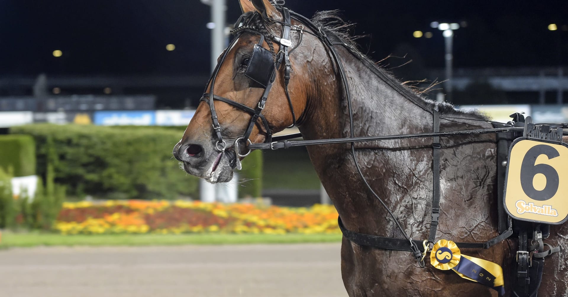 Foto: LARS JAKOBSSON / TR BILD