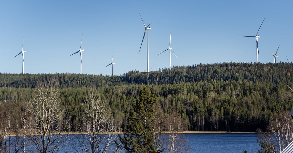 ”Regeringens vindkraftslöfte måste bli verklighet – innan det är för sent” - Västerbottens-Kuriren