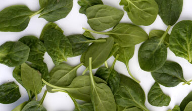 Därför är spenat ett bra vapen mot sjukdomar