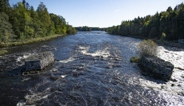 Antibiotika i vattenmiljöer – även nedbrytningsprodukter kan vara ett hot!