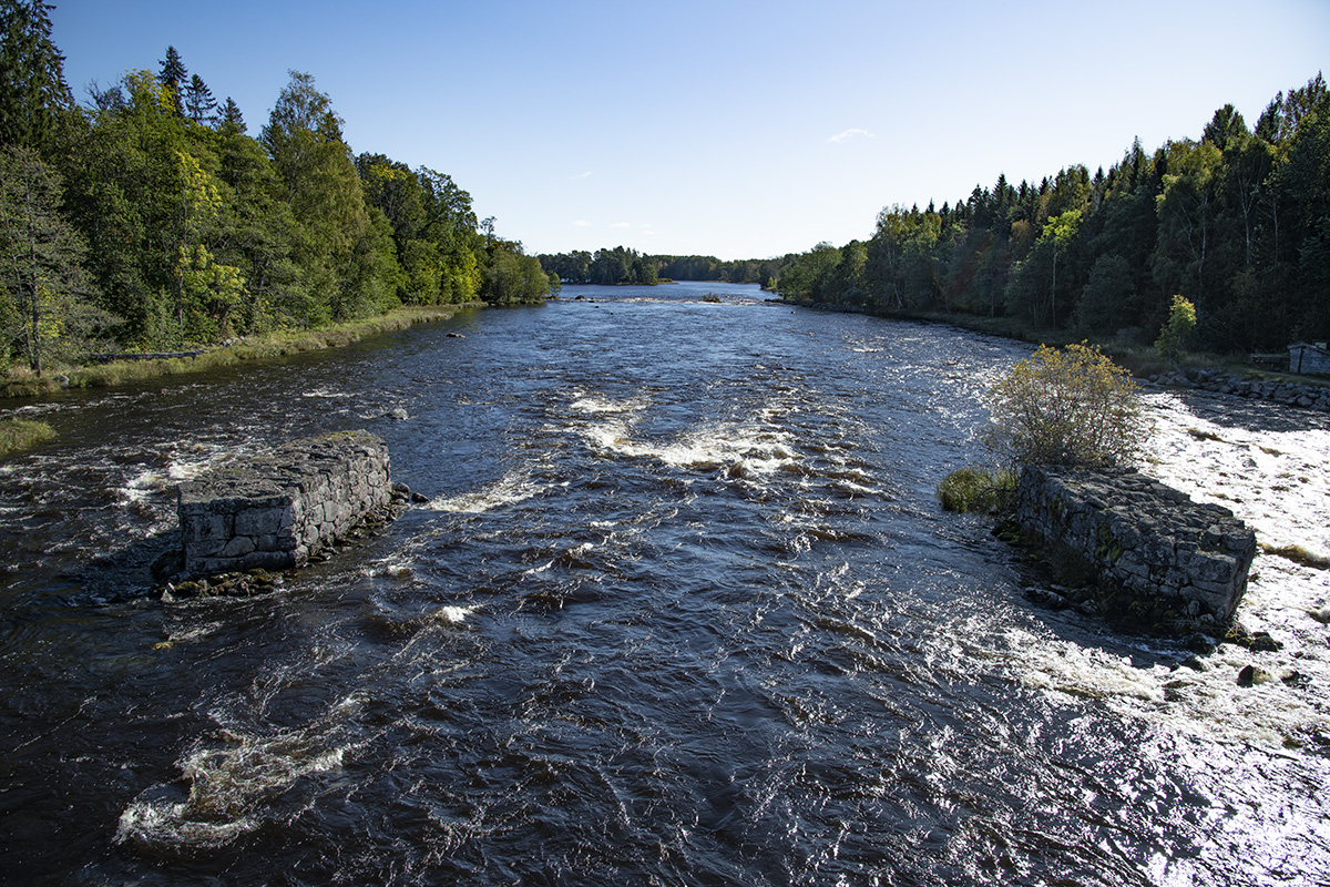 Antibiotika i vattenmiljöer – även nedbrytningsprodukter kan vara ett hot!