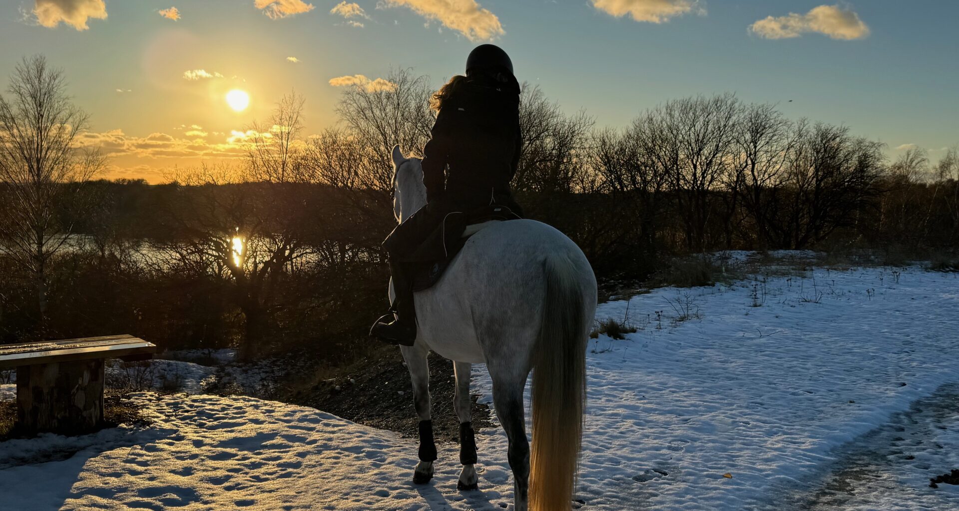 Gå till artikel: Sammanfattning av förbundsstyrelsens senaste möten