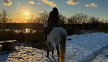 Gå till artikel: Sammanfattning av förbundsstyrelsens senaste möten