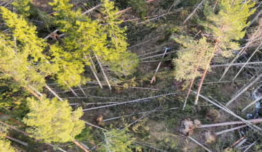 Uppdatering: Arbetet fortsätter med full intensitet efter stormen Johannes