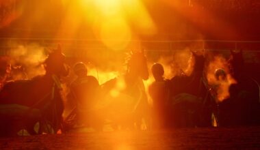 Foto: LARS JAKOBSSON/TR BILD