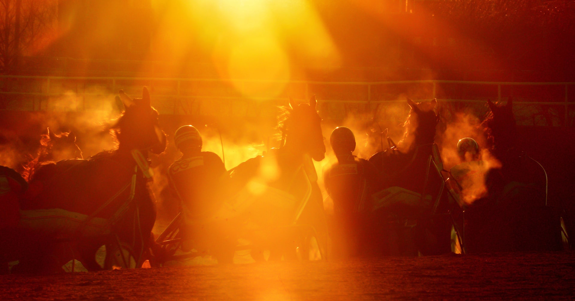 Foto: LARS JAKOBSSON/TR BILD