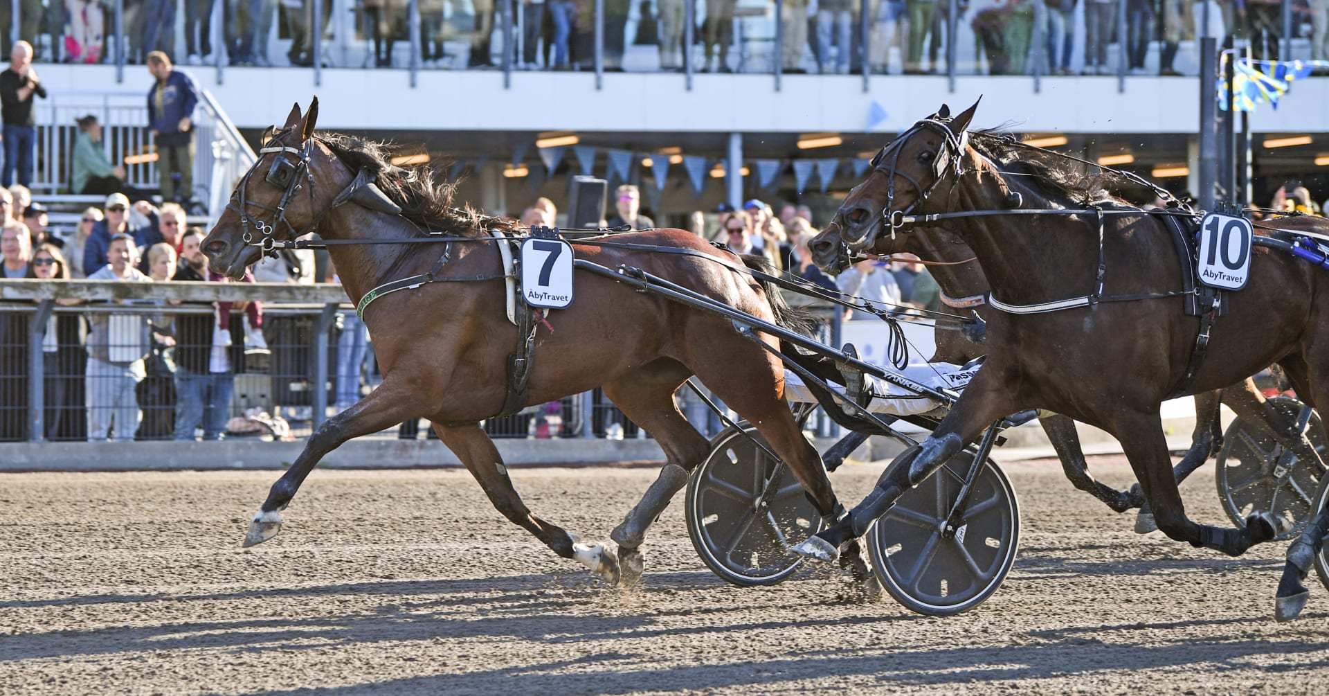 Foto: MALIN ALBINSSON / TR BILD