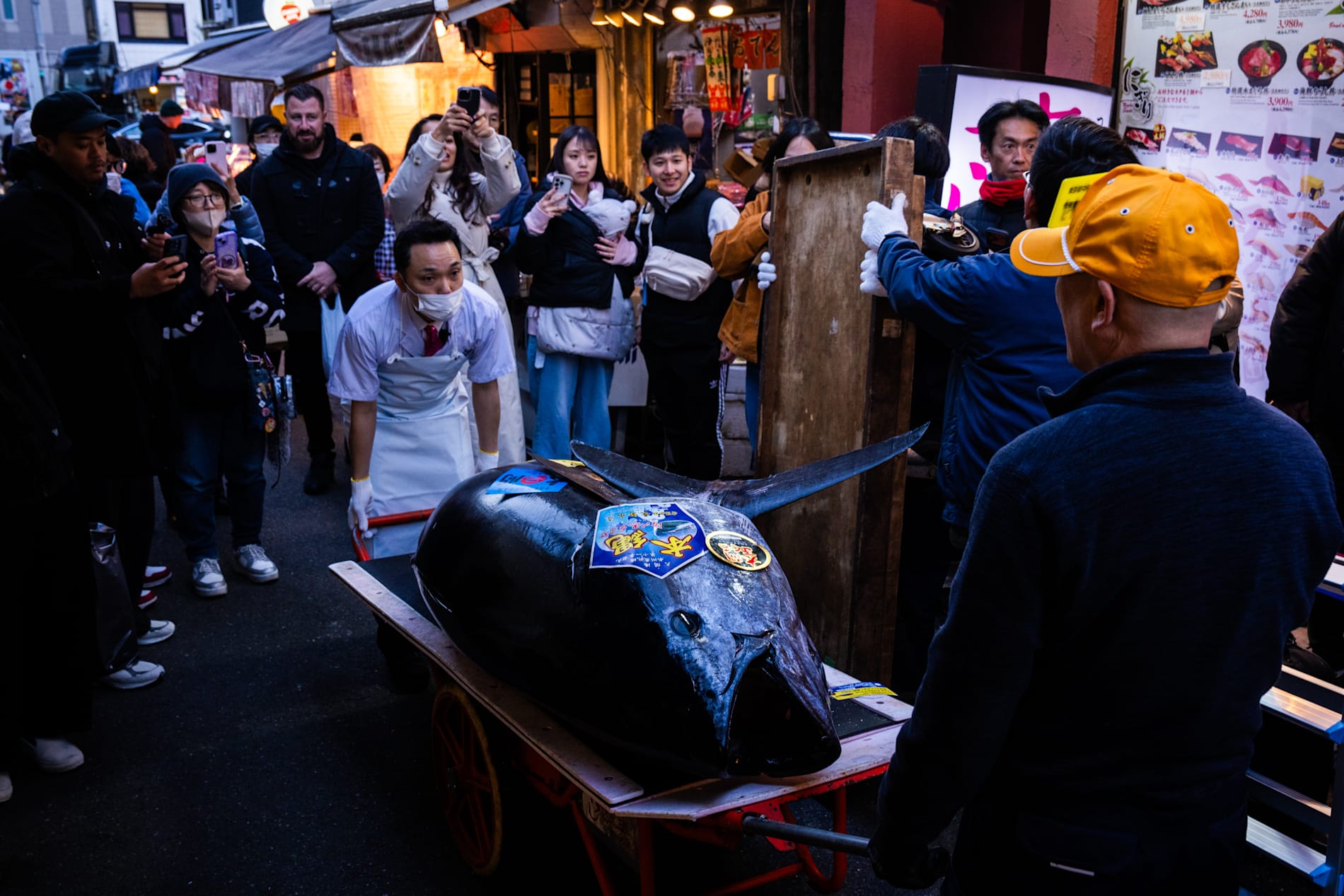 Den rekorddyra blåfenade tonfisken rullas iväg av köparen, "tonfiskkungen" Kiyosh Kimura, i Tokyo.