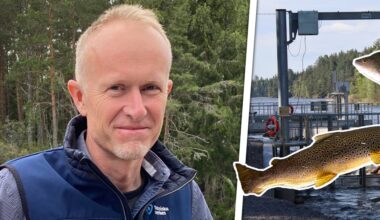 Så har första halvåret för nya fiskvägen varit