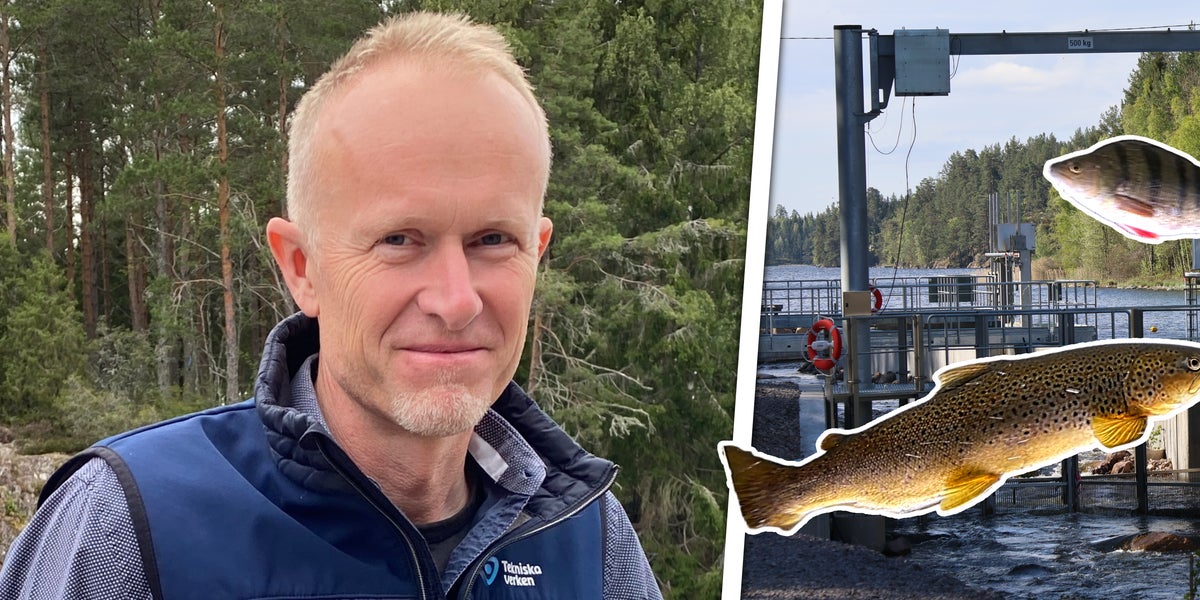 Så har första halvåret för nya fiskvägen varit