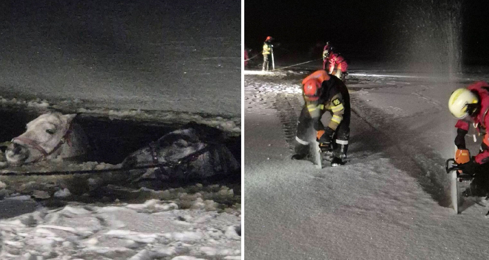 25 stycken kämpade i timmar – för att rädda hästar i Klippan