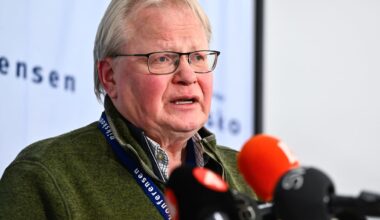 Staten bör vara delägare i svenska försvarsbolag