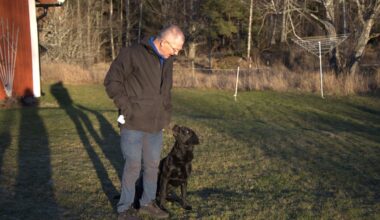 Fyrverkerier skrämmer skotträdda hundar