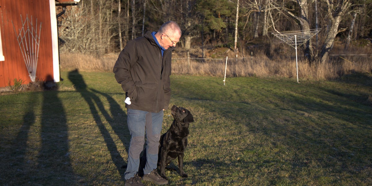 Fyrverkerier skrämmer skotträdda hundar
