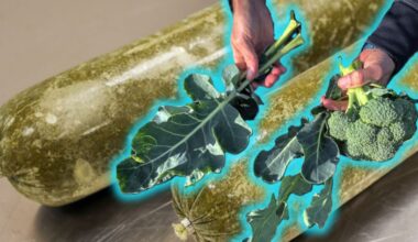 Ikea lanser soppa på broccolirester