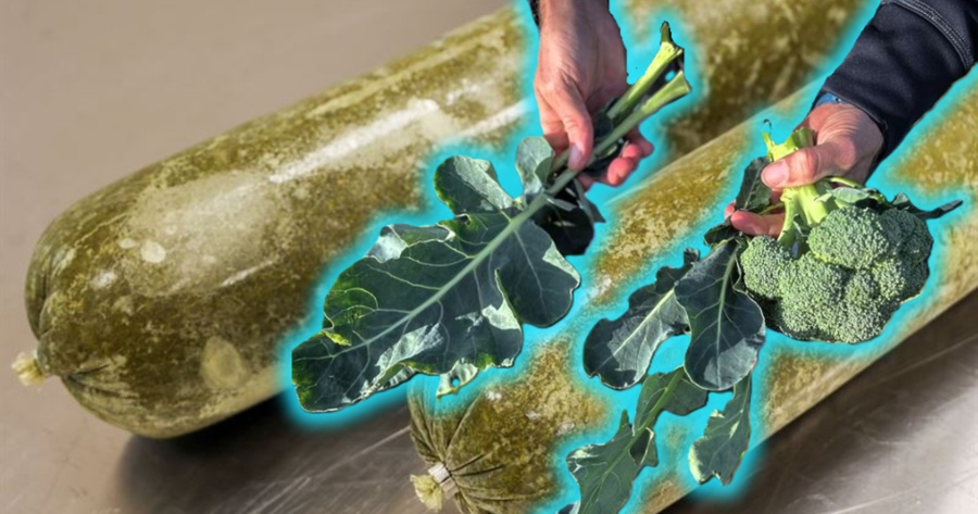 Ikea lanser soppa på broccolirester