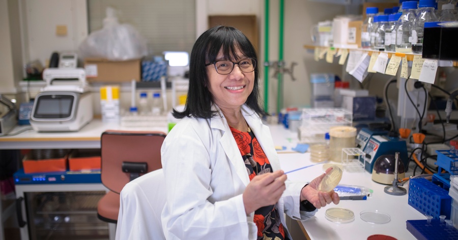 Koleraämne prövas mot cancer i svensk studie