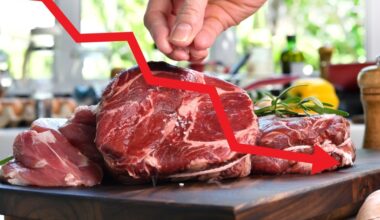 Nötköttsbristen blottlägger lantbrukets långsiktiga kris