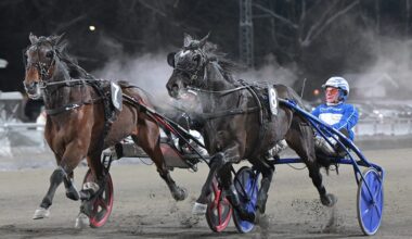 Stefan Persson och Karat River slog storfavoriten High on Pepper