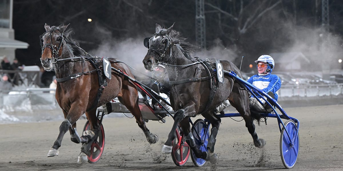 Stefan Persson och Karat River slog storfavoriten High on Pepper
