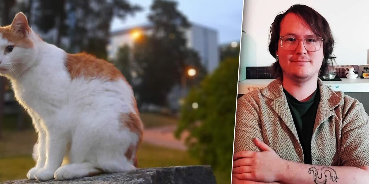 Katten Ingefära söker ny ägare i Flogsta